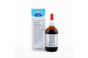 Betulla - Gramigna - 50 ml